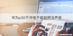 华为p30不冲电不能拍照没声音
