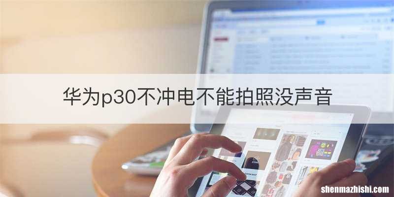 华为p30不冲电不能拍照没声音