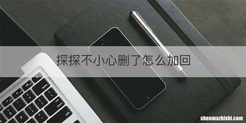 探探不小心删了怎么加回