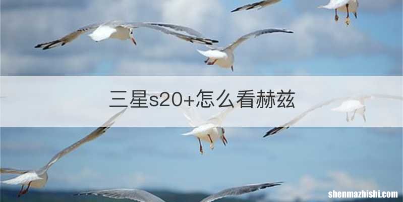 三星s20+怎么看赫兹