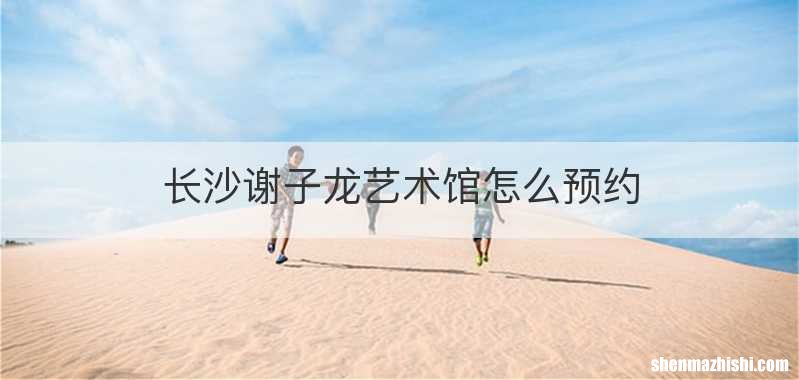 长沙谢子龙艺术馆怎么预约