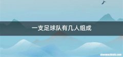 一支足球队有几人组成
