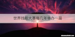 世界技能大赛每几年举办一届