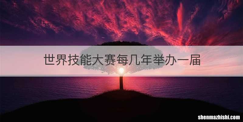 世界技能大赛每几年举办一届