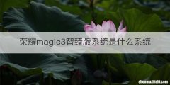 荣耀magic3智臻版系统是什么系统