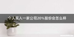 个人买入一家公司20%股份会怎么样