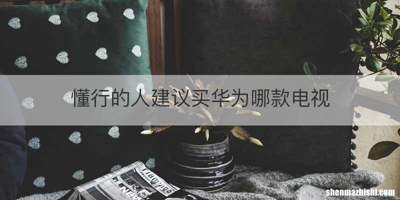 懂行的人建议买华为哪款电视