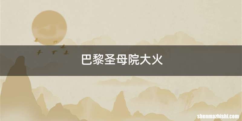 巴黎圣母院大火