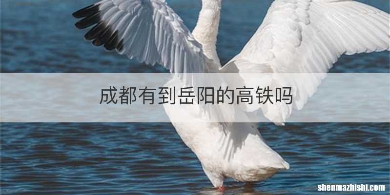 成都有到岳阳的高铁吗