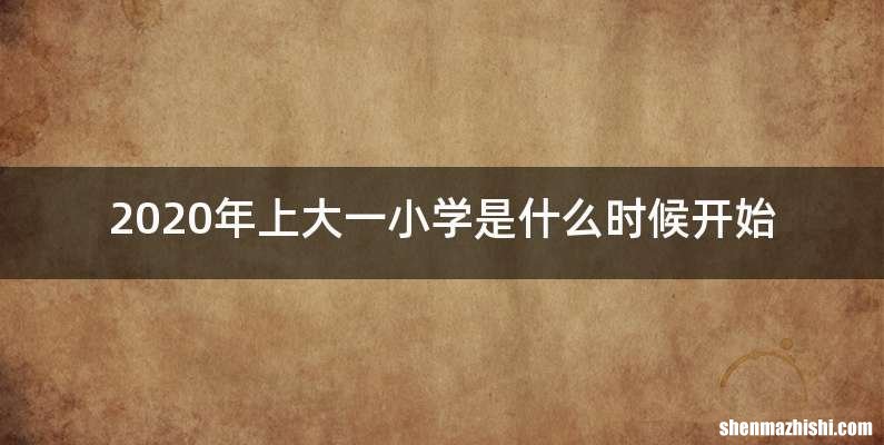 2020年上大一小学是什么时候开始