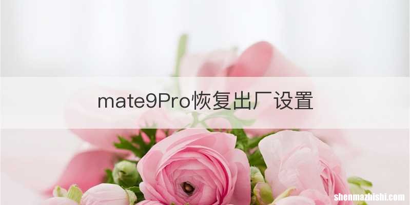 mate9Pro恢复出厂设置
