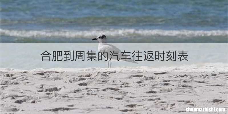 合肥到周集的汽车往返时刻表