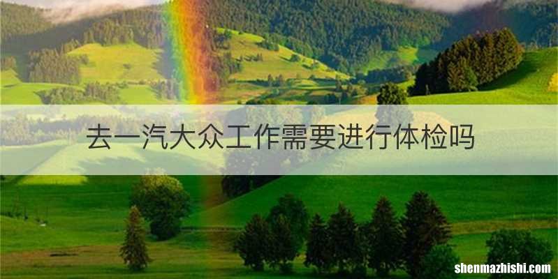 去一汽大众工作需要进行体检吗