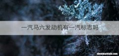 一汽马六发动机有一汽标志吗