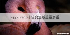 oppo reno十倍变焦版重量多重