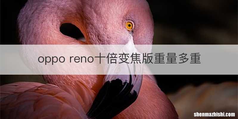 oppo reno十倍变焦版重量多重