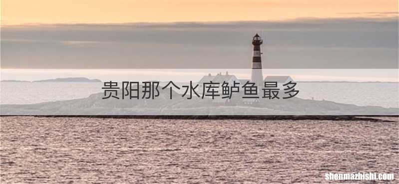 贵阳那个水库鲈鱼最多