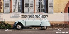 贵阳脆哨怎么保存
