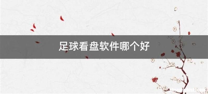 足球看盘软件哪个好
