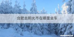 合肥去明光市在哪里坐车