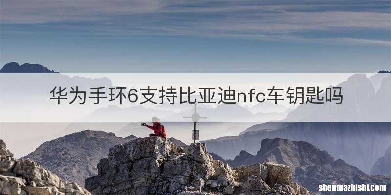 华为手环6支持比亚迪nfc车钥匙吗