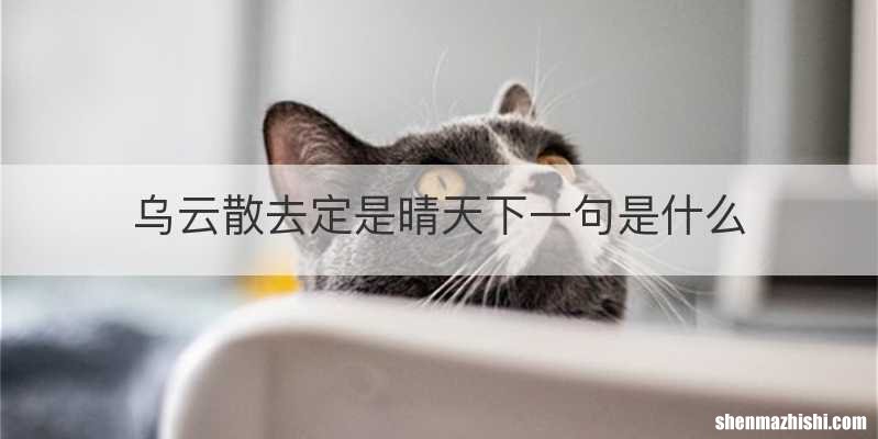 乌云散去定是晴天下一句是什么