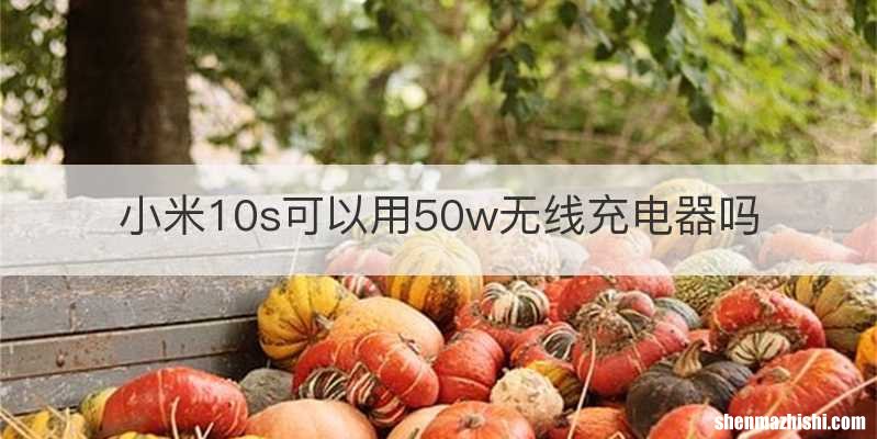 小米10s可以用50w无线充电器吗