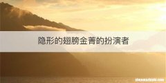 隐形的翅膀金菁的扮演者