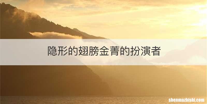 隐形的翅膀金菁的扮演者