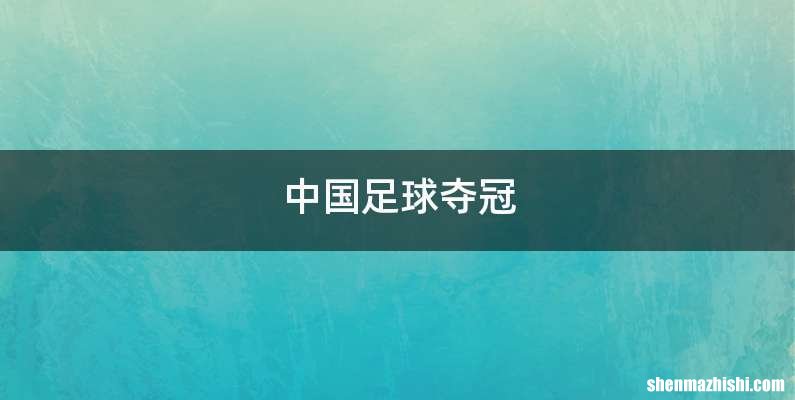 中国足球夺冠