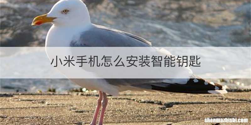 小米手机怎么安装智能钥匙