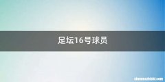 足坛16号球员