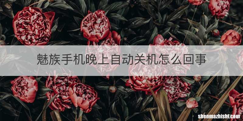 魅族手机晚上自动关机怎么回事