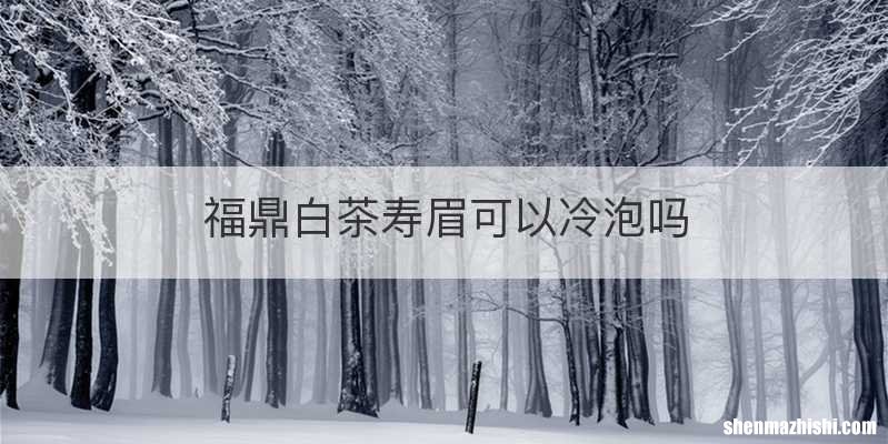 福鼎白茶寿眉可以冷泡吗
