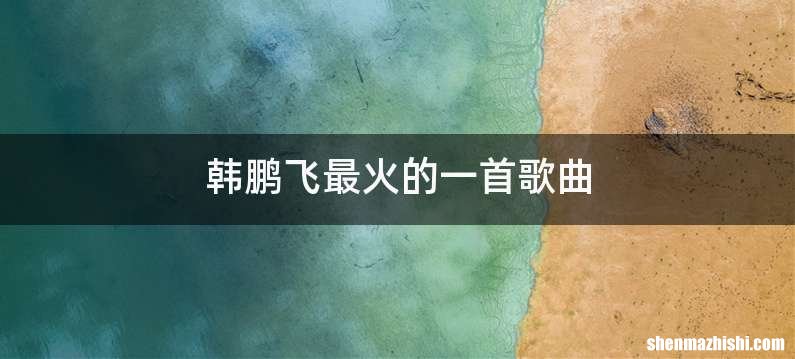 韩鹏飞最火的一首歌曲
