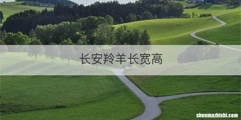 长安羚羊长宽高