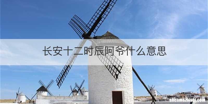 长安十二时辰阿爷什么意思