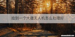 捡到一个大疆无人机怎么处理好