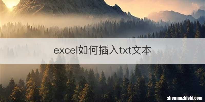 excel如何插入txt文本