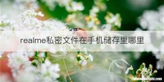 realme私密文件在手机储存里哪里