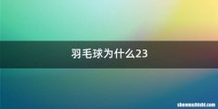 羽毛球为什么23