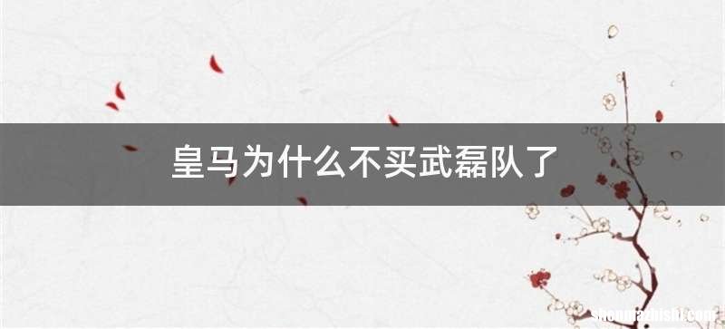 皇马为什么不买武磊队了
