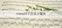 mate20下巴多少毫米