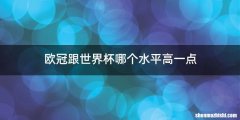 欧冠跟世界杯哪个水平高一点