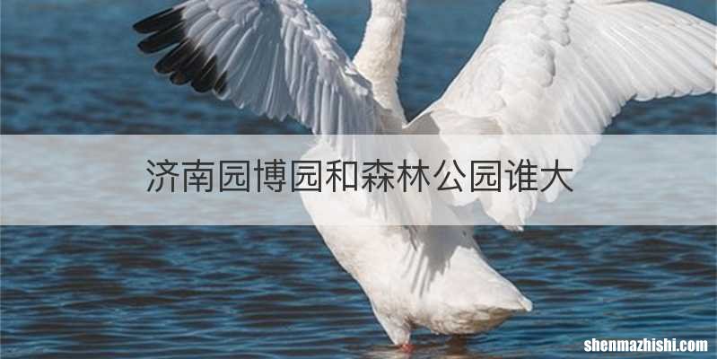 济南园博园和森林公园谁大