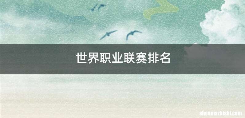 世界职业联赛排名