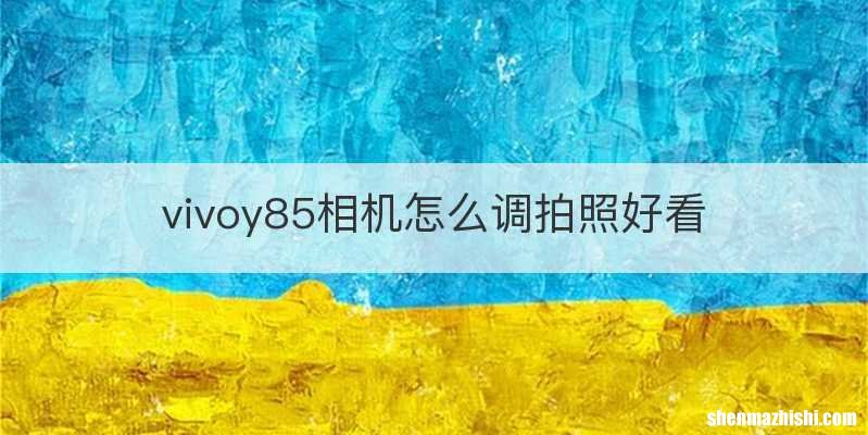 vivoy85相机怎么调拍照好看