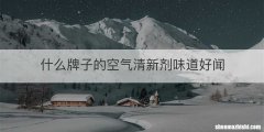 什么牌子的空气清新剂味道好闻