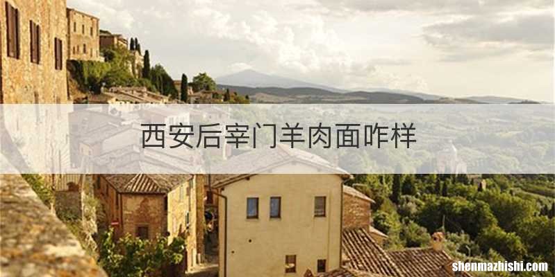 西安后宰门羊肉面咋样