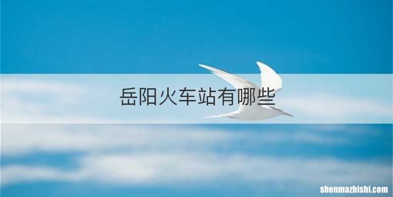 岳阳火车站有哪些